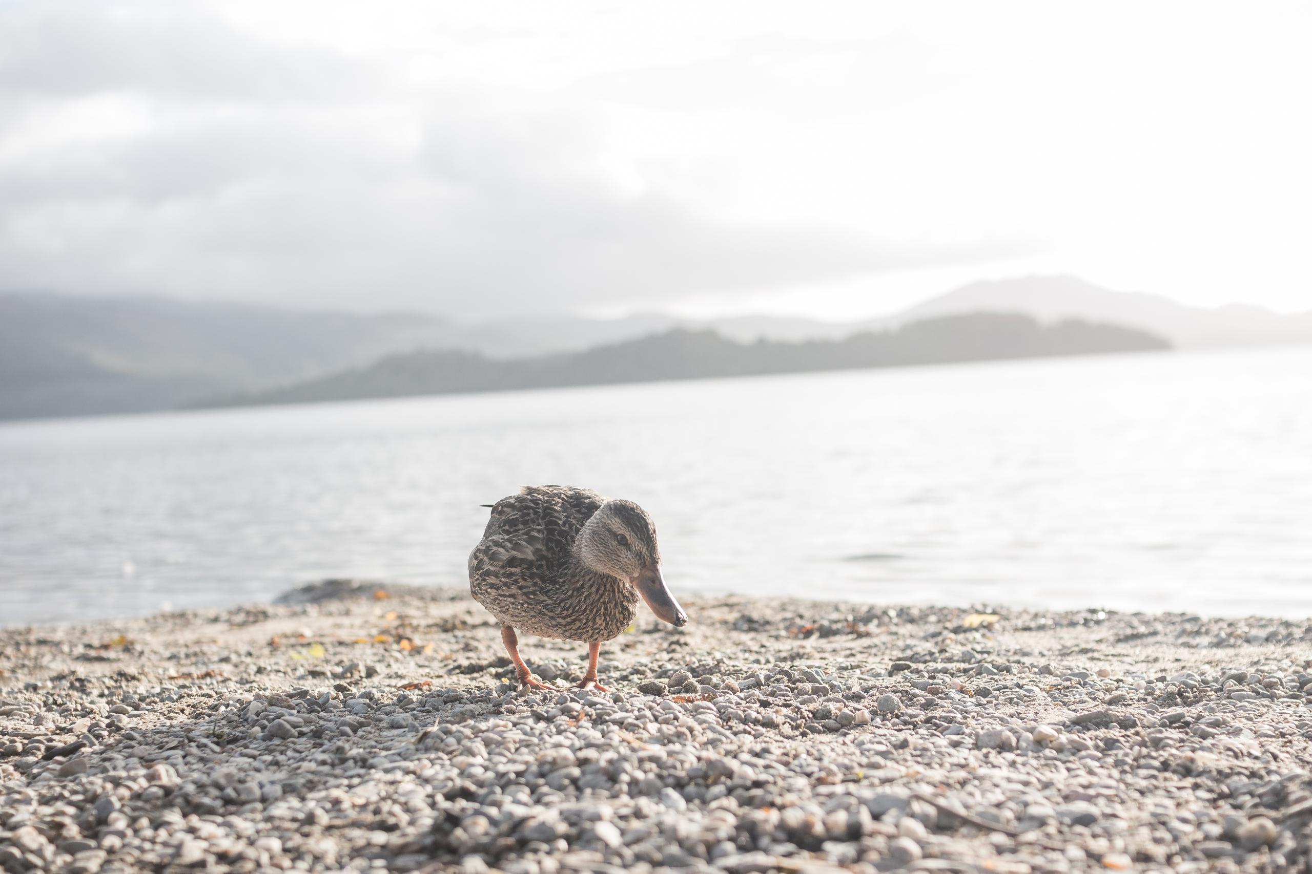 EUER WISSEN visual data 8